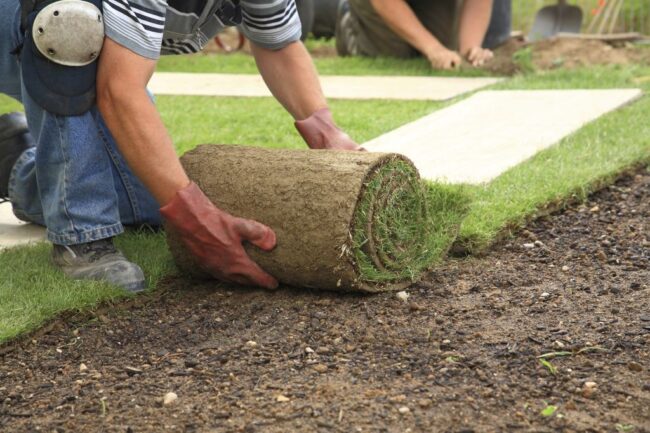 Landscaping Lafayette La